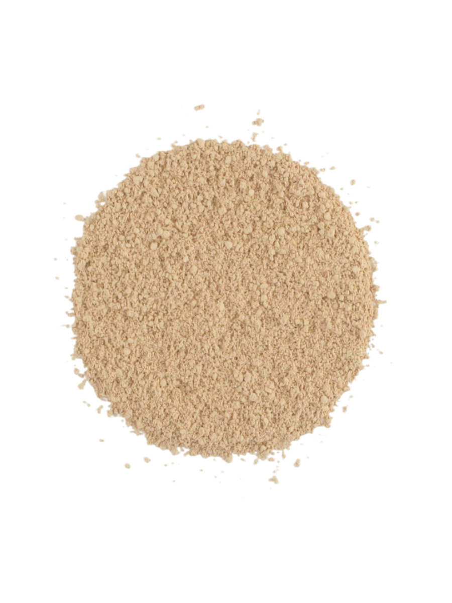 Foundation Tangerine